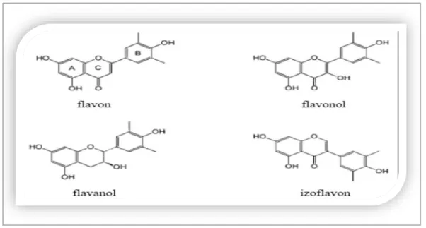Şekil 2.5’te bazı flavonoidlerin kimyasal yapısı gösterilmiştir. Sadece bitkilere renk verdiği  için  değil,  insanlar  için  önemli  olan  antienflamatuar,  antioksidatif,  antiviral  etkileri  de  dahil olmak üzere birçok biyolojik ve farmakolojik aktivi