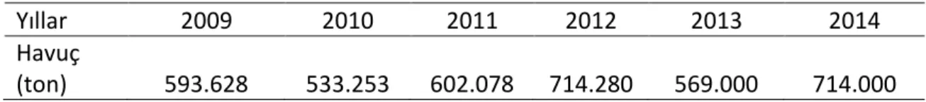 Çizelge 2.2. Türkiye’de son 5 yıldaki havuç üretimi  [39] 