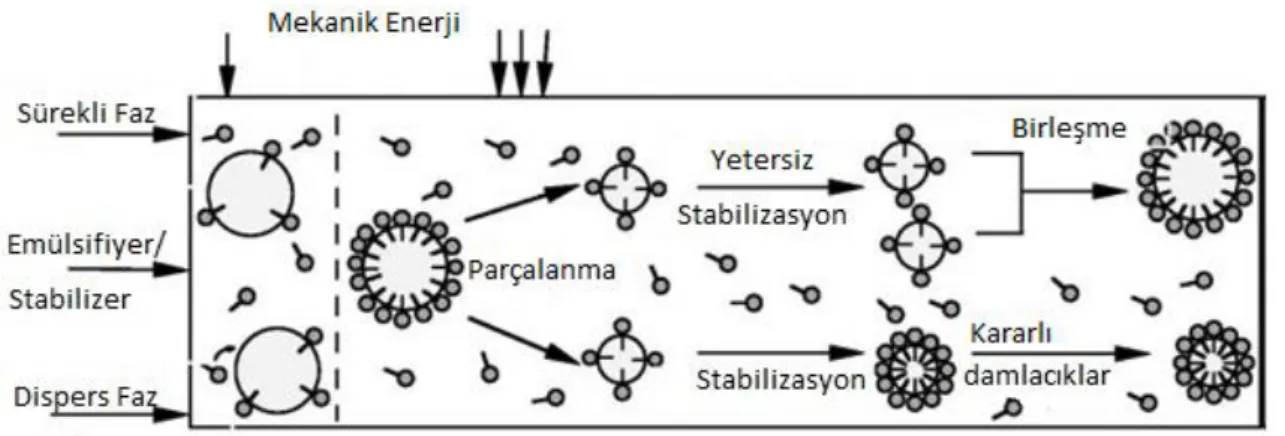 Şekil 1. 1 Mekanik emülsifikasyon işlemi [14] 