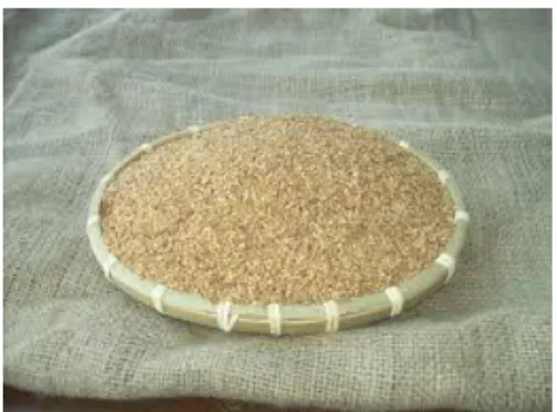 Şekil 2. 3 Susam bitkisi 