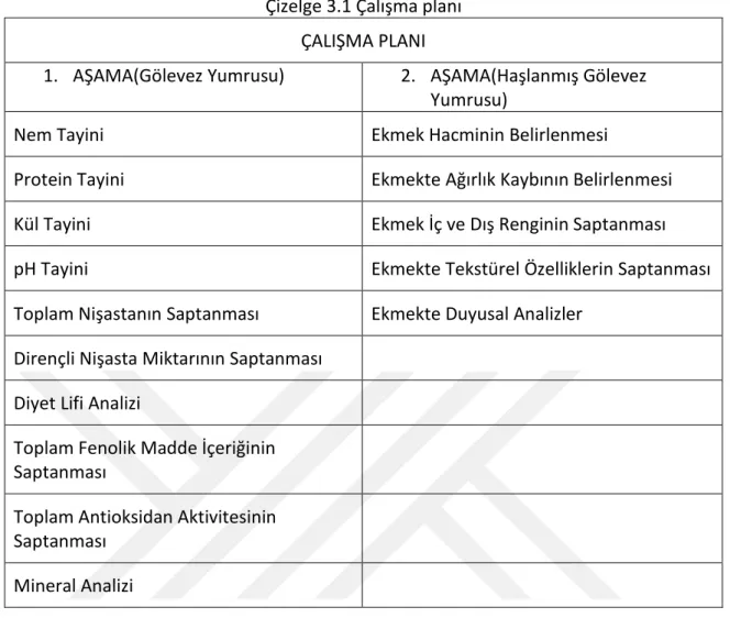 Çizelge 3.1 Çalışma planı  ÇALIŞMA PLANI 