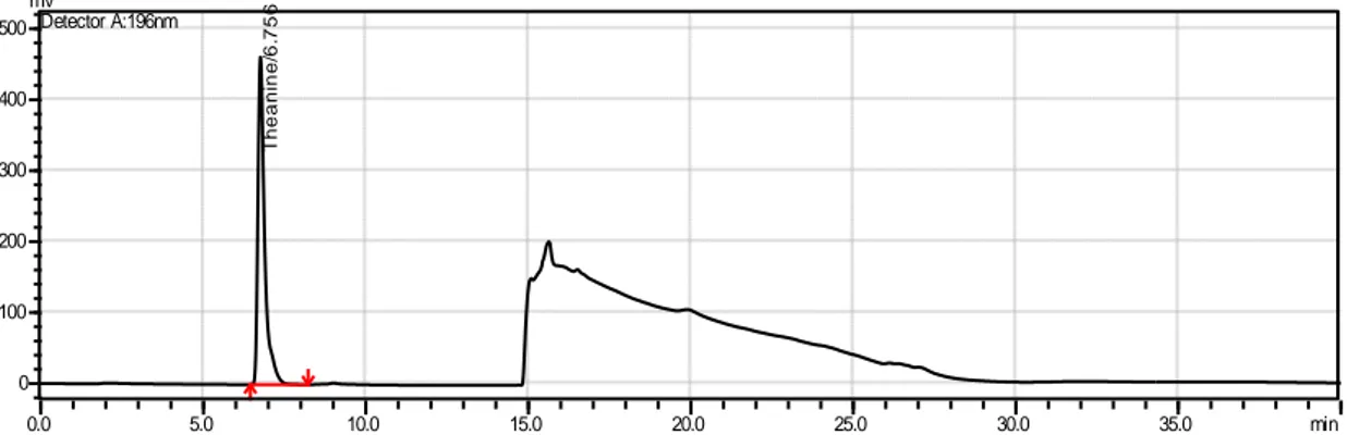 Şekil 2.2 Teanin standart çözeltisinin kromatogramda oluşturduğu pik  2.2.4.2  Linearite Çalışması 