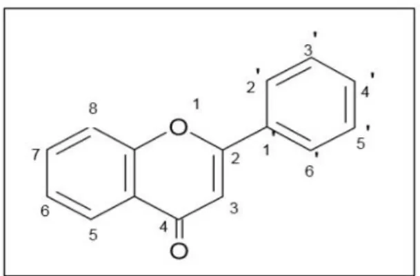 Şekil 2.3 Flavonoidlerin genel yapısı [31] 
