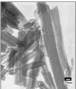 Şekil 2.4 Halloysit nanotüplerinin SEM görüntüsü 