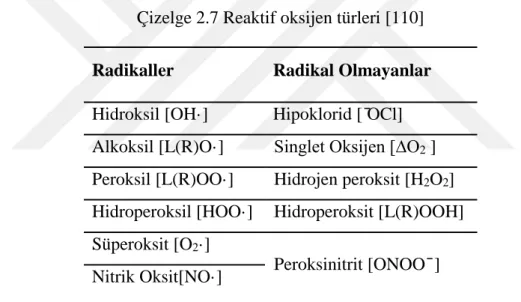 Çizelge 2.7 Reaktif oksijen türleri [110] 