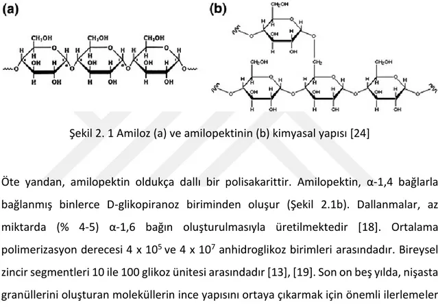 Şekil 2. 1 Amiloz (a) ve amilopektinin (b) kimyasal yapısı [24] 