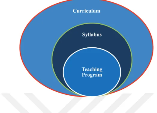 Figure 4. The relationship between teaching program, syllabus and curriculum. 