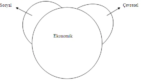 Şekil 1.2 Mickey Mouse Modeli (SANZ 2009: 8)  