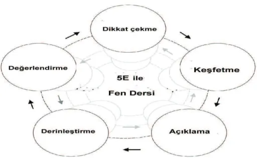 Şekil 5. 5E Öğrenme Döngüsü Basamakları ( Ekici, 2007, s.13) 