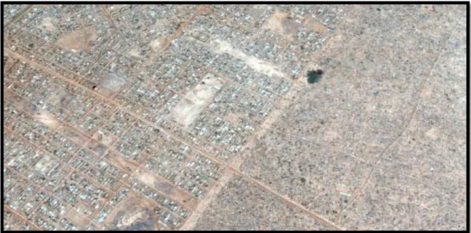 Figure 3.6: A large-scale surveyed plot program in Burkina Faso 