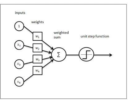 Figure 2.1: A diagram of the perceptron model 