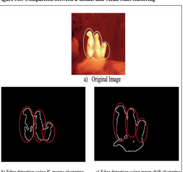 Figure  5.8.a  shows  the  original  image;  the  green  and  red  circles  define  the  detectable  edges