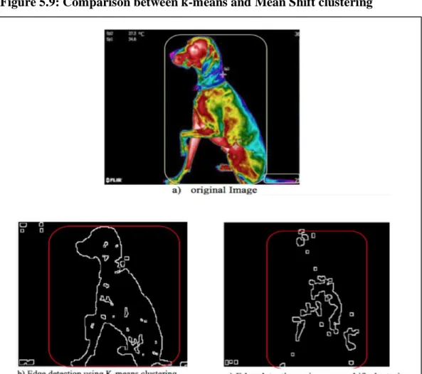 Figure  5.10.a  shows  the  original  image.  Two  different  clustering  methods  are  implemented