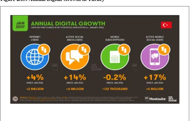 Figure 2.13: Annual Digital Growth in Turkey 