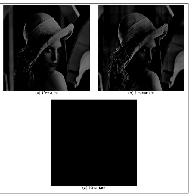 Figure 2.4: Absolute differences between the original image and the image obtained by using the terms up to (b) constant term, (c) univariate terms, (d) bivariate terms and (e) trivariate terms.