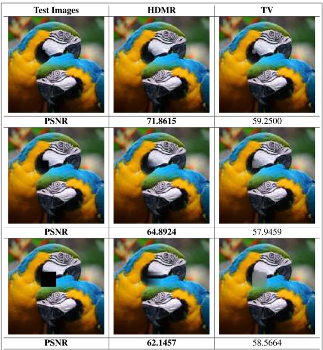 Figure 3.10: Visual results with their corresponding PSNR values for Test image 3.7(b) with 5 × 5, 10 × 10 and 20 × 20 missing regions (from top to bottom respectively) for our proposed method and TV inpainting method