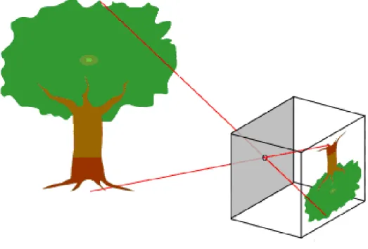 Figure 1.1: A diagram of a pinhole camera  Source : http://en.wikivisual.com 