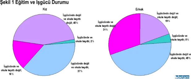 Şekil 1 Eğitim ve İşgücü Durumu