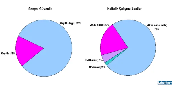 Şekil 3 Gençlerin Çalışma Koşulları