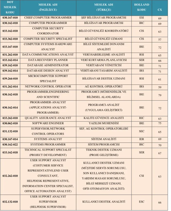 Tablo 2.1:Bilişim Meslekleri 
