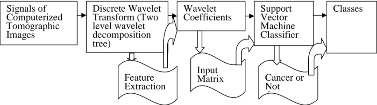 Figure 1.1: Structure of the SVM Classifier 
