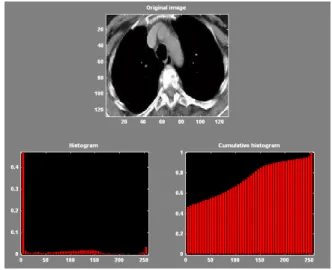 Figure 3.1: The histogram values of one of the images from the data set with Two-Level &amp; HAAR 