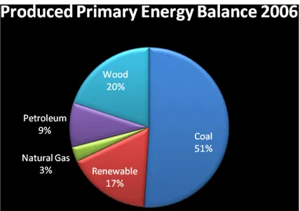 Figure 4.1. : Produced Primary Energy Balance 2006 