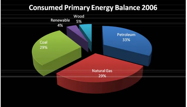 Figure 4.2 : Consumed Primary Energy Balance 2006 