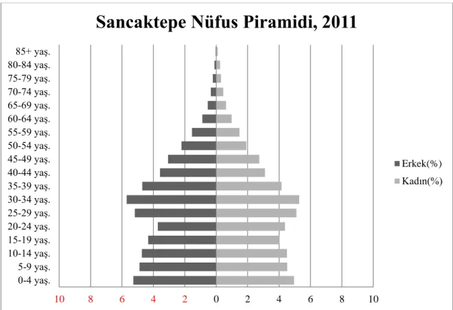 ġekil 4.8‟de yer alan nüfus piramidinde görüldüğü gibi Sancaktepe‟de kadın erkek nüfusu   dengeli  dağılmıĢtır  ve  genç  nüfusludur