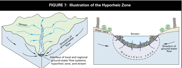 FIguRE 7:  Illustration of the hyporheic Zone 