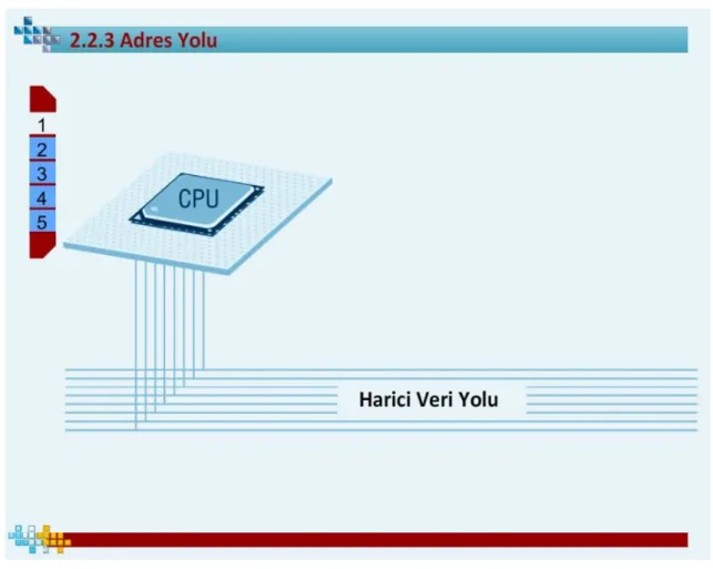 Şekil 3.4: Eğitim Ortamındaki Görsellerin Bulunduğu Alan