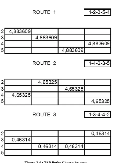 Figure 2.4 : TSP Paths Chosen by Ants 