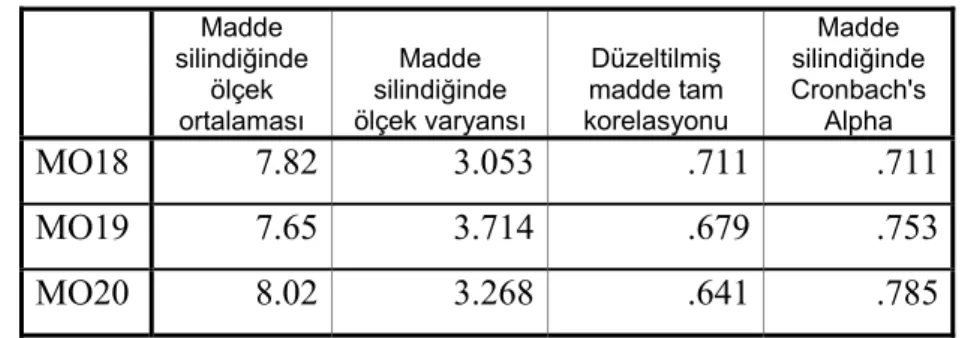 Tablo 4.16 : Motivasyon Güvenilirlik Katsayısı 