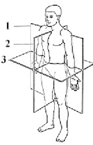 Figure 2.5 Human Body Orientation