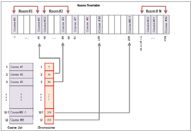 Figure 5.2: Chromosome Representation