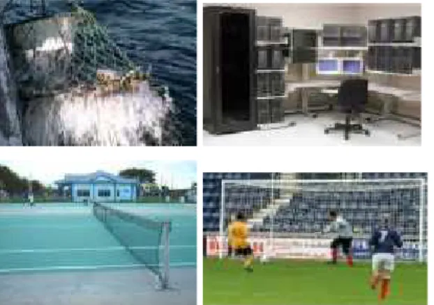 Figure 3.2: Different pictures related with the word “net”. 