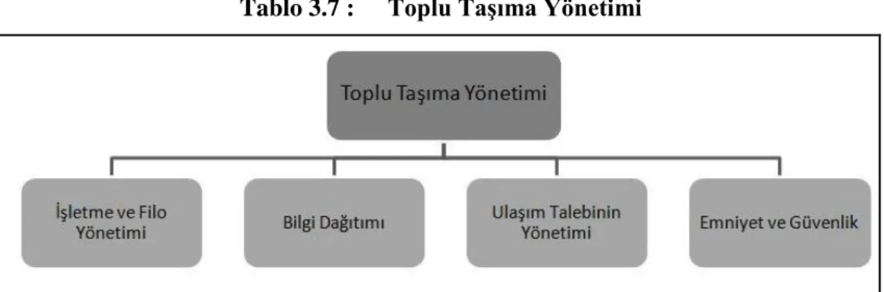 Tablo 3.7 :  Toplu TaĢıma Yönetimi  