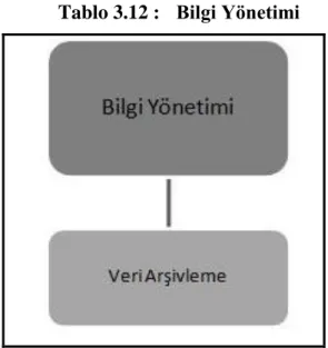Tablo 3.12 :  Bilgi Yönetimi 