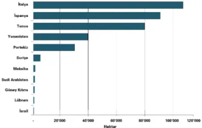 Şekil 2.8: Organik zeytin üretiminde en önemli ülkeler 
