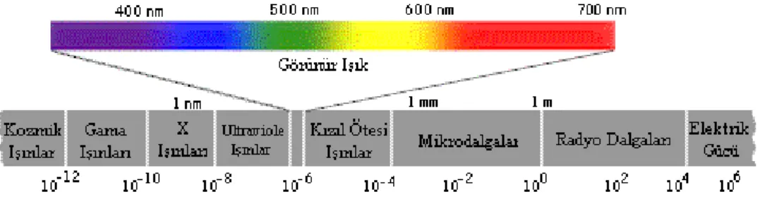 Şekil 1 : Elektromanyetik tayf, görünen ışık (www. zamandayolculuk.  com/cetinbal/spektrum.htm)