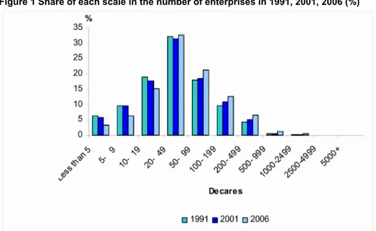 Figure 1 Share of each scale in the number of enterprises in 1991, 2001, 2006 (%)
