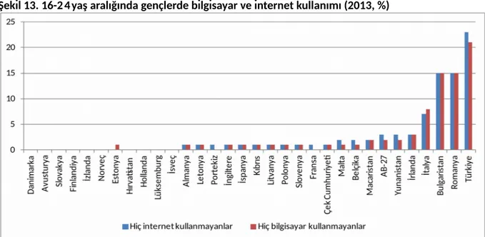 Şekil 13. 16-24 yaş aralığında gençlerde bilgisayar ve internet kullanımı (2013, %)