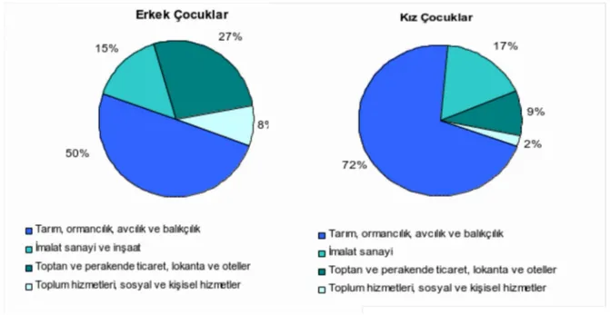 Tablo 5 6-14 yaş arası çocuk işçilerin çalıştıkları işlerdeki durumları Toplam