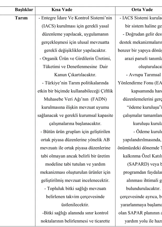 Tablo 3.2: Ulusal Programla Türkiye’nin Avrupa Birliği Komisyonu’na                     Tarımla İlgili Olarak Taahhüt Ettiği Kısa ve Orta Vadeli                     Hedefler 