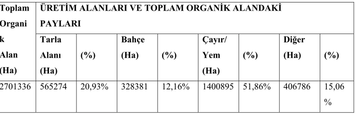 Tablo 6.3: AB’nde, Toplam Organik Tarım Alanının (Ha) Üretim                     Alanlarına Göre Dağılım (%) 