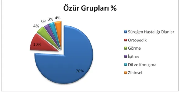 ġekil 2.1: Özür Grupları   Kaynak: Stratejik Plan 2007 