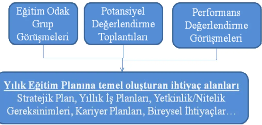 Şekil 5.3: Eğitim ihtiyaç analizi alanları 