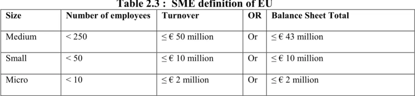 Table 2.3 :  SME definition of EU 