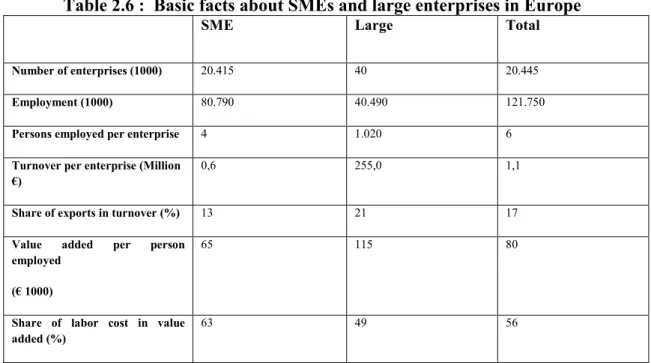 Table 2.6 :  Basic facts about SMEs and large enterprises in Europe