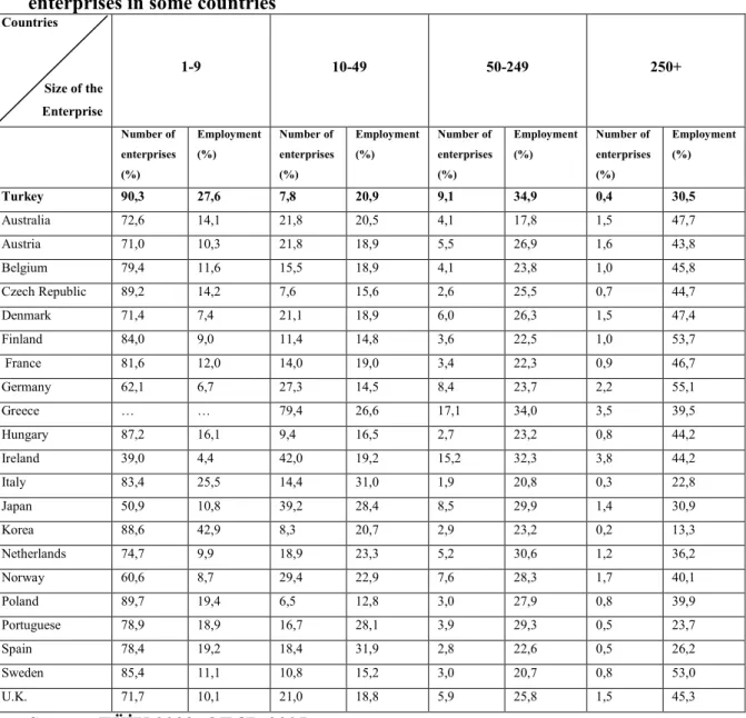 Table 2.8 :  The Range of enterprises and employment with respect to the size of  enterprises in some countries 